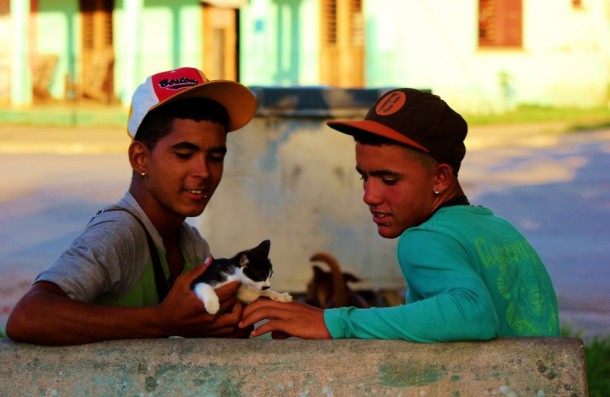 cats, Cuba, boys