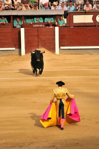Bullfight | via The Huffington Post
