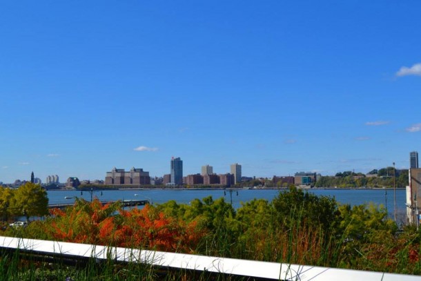 View of the Hudson from the High Line | © Erin McCulloch