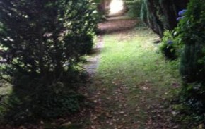 A pathway in the cemetery where my great-aunt was buried.