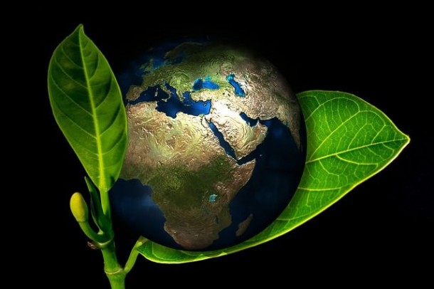 Help the earth blossom | via Pixabay