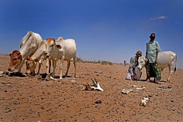 Drought-in-Ethiopia