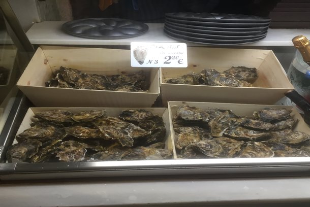 Oysters at San Miguel / Katie McEvinney